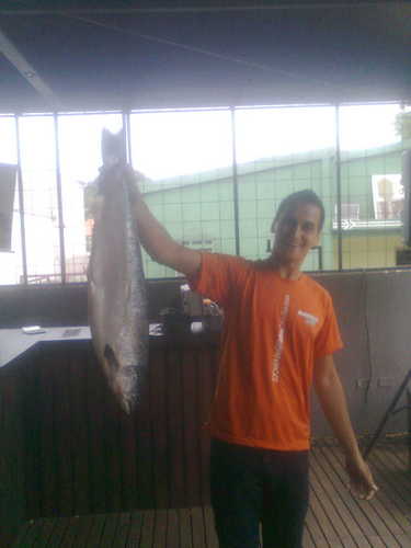 teicir's profile picture. 