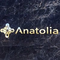 İYT ANATOLİA (@iyt_anatolia) Twitter profile photo