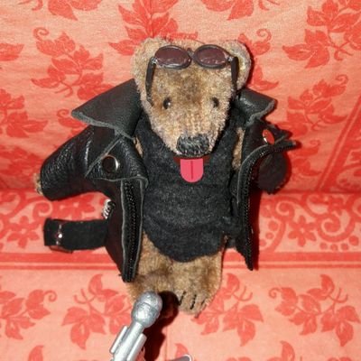I m a wee teddy who loves to have fun - I m a renegade & I m a foodie🐻 my teddy band is called 'Da Micksters'🎸🎶 I m a bearfluencer
- 🚫 noAfD 🚫 noNazis 🚫