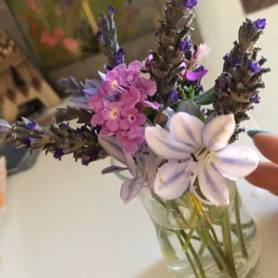 SosinInTheCity's profile picture. 