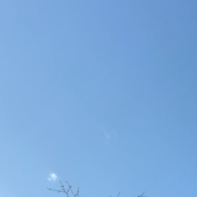 mounayerecom's profile picture. ♟️