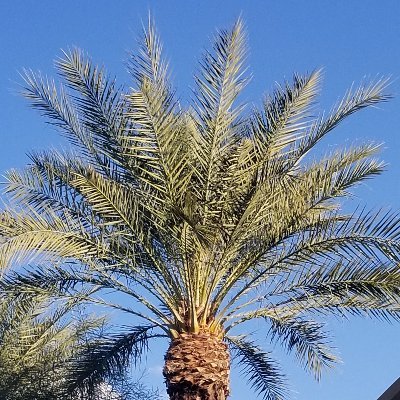 KarynHerman12's profile picture. 