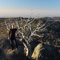 SLakevillage (@globalcrowd) 's Twitter Profile