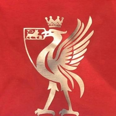 danpgrundy's profile picture. Fuck the Tories