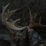 kinghuffman76's profile picture. Avid outdoorsman /Dad to the best 3 sons and an angel/hardcore Clemson tiger fan/born and raised in South Carolina