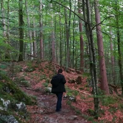 JF_STEM's profile picture. 🗣🇬🇧🇪🇦🇩🇪