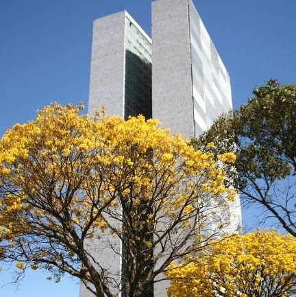 CandangoP's profile picture. Publicitário, especialista em marketing digital e projetos digitais. Trabalhista, desenvolvimentista.