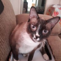 Julie Renzelman (@julierenzelman) 's Twitter Profile