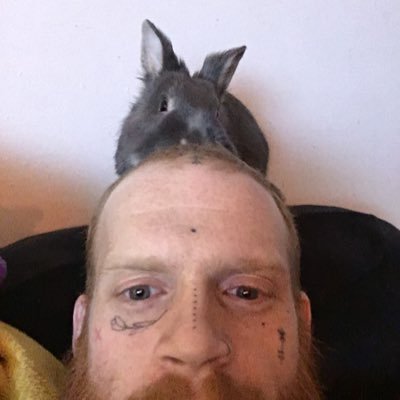 Liam Thynneさんのプロフィール画像