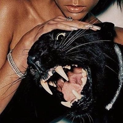 komma53561769's profile picture. ma sta znam