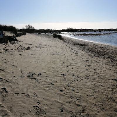 NifiqueMag's profile picture. 