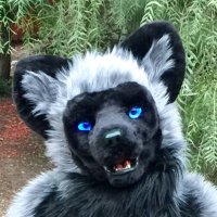 Vox Fox(@minstrelbill) 's Twitter Profile Photo