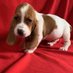 Linda Bachand (@bachand_linda) Twitter profile photo Linda Bachand (@bachand_linda) Twitter profile photo