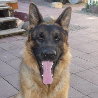 1stopvalueshop (@mccafferty_jeff) 's Twitter Profile