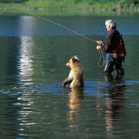 Илья Лаврентьев (@lavliss) 's Twitter Profile