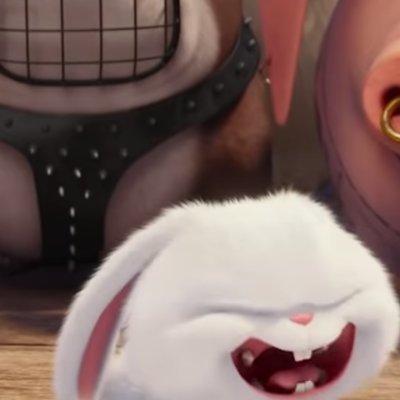 HaomiaoYu's profile picture. 