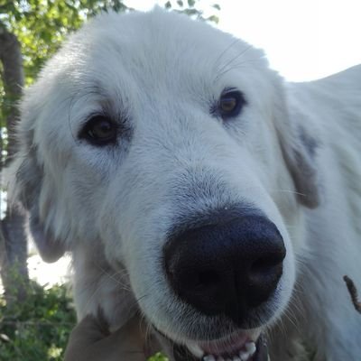 estlfgv's profile picture. 