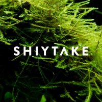 シータケ (@shiytake_life) 's Twitter Profile
