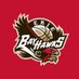 Erie BayHawks (@ErieBayHawks) Twitter profile photo