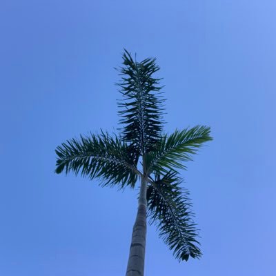 Kate33338596's profile picture. Life’s too short to be serious