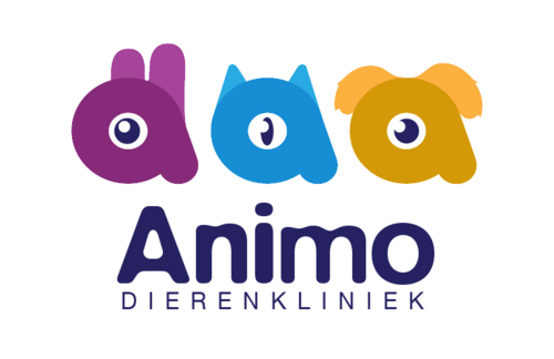 Dierenkliniek in Den Haag op de Laan van Meerdervoort 642. Wij behandelen alle soorten huisdieren: honden/katten/konijnen/knaagdieren/reptielen/vogels.