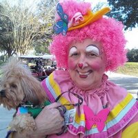 Jan Robbins - @SassydClown Twitter Profile Photo