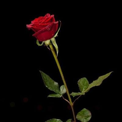 दिल में सेवा भाव होना चाहिये ।
मैं फॉलो बैक उन्ही को कर पाऊंगा,जो मुझे फॉलो करते हैं,सा-धन्यवाद ।।