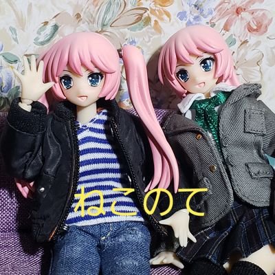 リトアモfigma,ねんどろいど,アサルトリリィ,植毛ドール等を使用したブンドドを毎日投稿中の普通のおじさんです。TLに流れる可愛い画像には手が勝手に「いいね」をポチるのでご了承願います😅AZONE 推しでアイコンは双子設定の「ASAGI ちゃん」です。ドール関連の投稿されてる方はフォロバさせていただきます🙇