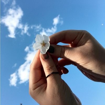 私30代🌸夫40代🌸子2人🌸70代義母同居中🏠義母ストレスに耐える毎日😢育児や仕事の不安や喜び、夫への不満、特に義母ストレスが酷いのでここで吐き出させてください🌻無言フォロー大歓迎&失礼します😌https://t.co/ORfVEg6nRd