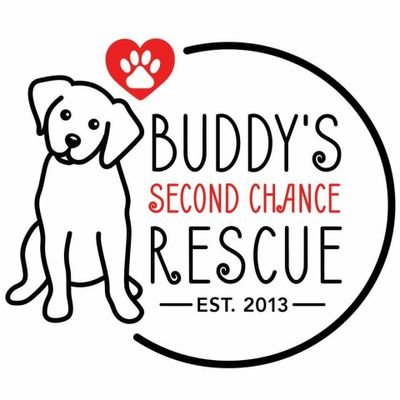 non profit dog rescue in Buffalo, NY. Visit https://t.co/QMrJfpoiwt to learn more!