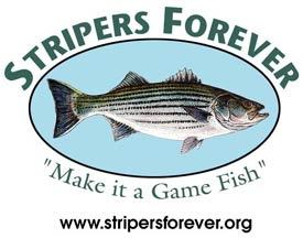 Working to protect wild Atlantic striped bass: Make it a game fish!