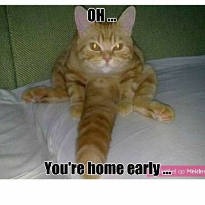 LindenRoss4's profile picture. im chillen cuz it 🅱️ like tht