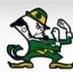 Irish Sports (@goirishonline) Twitter profile photo