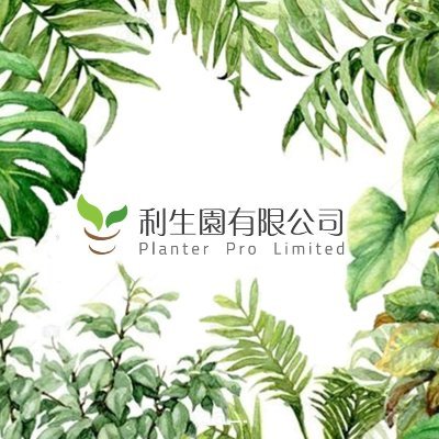 PLANTER PRO LIMITED is one of leading indoor plant servicing companies in Hong Kong.
**
Email: info33@plants.hk
Facebook: Planter Pro
Instagram: https://t.co/eq3g3dTKsY 
**