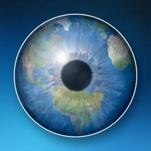 The Visual Dictionary Online is an all-in-one reference. Search the themes to locate words or play games.