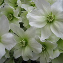 jesus barroso - @jesusito22 - Twitter