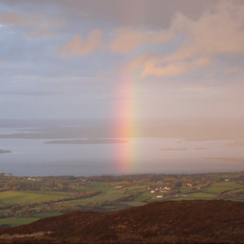 rillside's profile picture. gardener, flower grower, painter