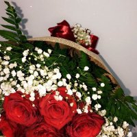 المغترب (@1m5vz9bosdl6ip7) Twitter profile photo
