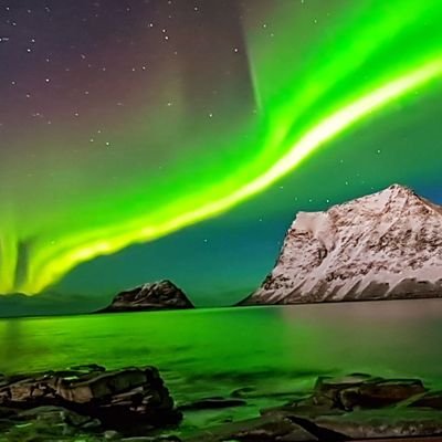 Vf1Anne's profile picture. Surf life! #neurosciences #growthmarketing #innovation