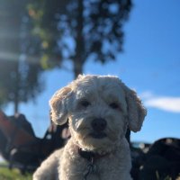 Holy Shit .eth (@holyshit) 's Twitter Profile