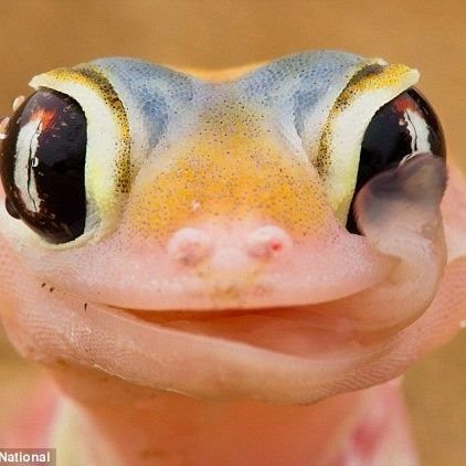 psyhonautus's profile picture. путешествую по подсознанию и воспоминаниям .