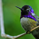 Alex Phillip yandell - @Alexyandell - Twitter