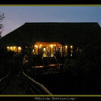 Ezulwini Game Lodges (@ezulwini) 's Twitter Profile