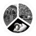 Stervende Zwanen (@szwanen) Twitter profile photo Stervende Zwanen (@szwanen) Twitter profile photo