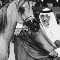 فيصل حبيب الحلبوص (@al7lbos) 's Twitter Profile