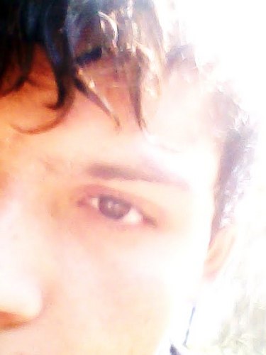 Estudante||Abobado||Pessimista||Gamer||