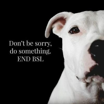 #endBSL #DeedNotBreed #DontBelieveTheType #BreedNeutralLaws #TysonsLaw #TuksLaw #HelpAPoundieUK #AdoptDontShop #Vegan
Please follow @StaffieA @PoundieUk