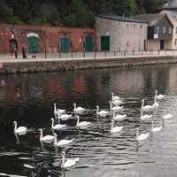 Exeter Notes (@exeternotes) 's Twitter Profile