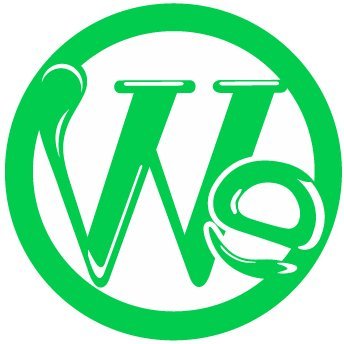 web_excels Profile Picture