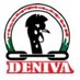 Development Network of Indigenous Voluntary Associ (@DENIVA_official) Twitter profile photo